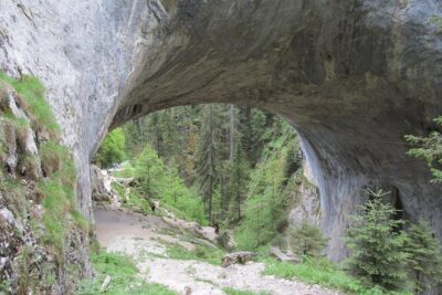 Wonderful Bridges-Bachkovo Monastery-Assen’s Fortress – day tour from Plovdiv